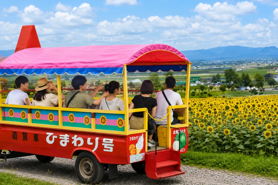 北竜町ひまわりの里