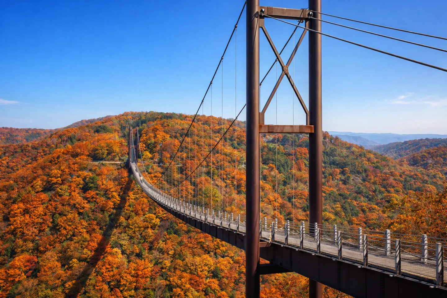 府民の森ほしだ園地
