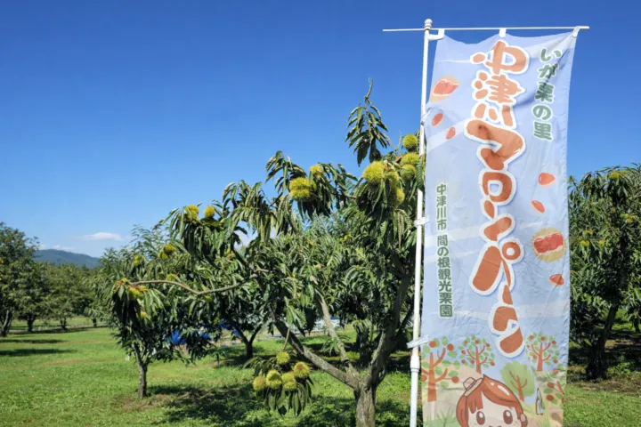 いが栗の里 中津川マロンパーク