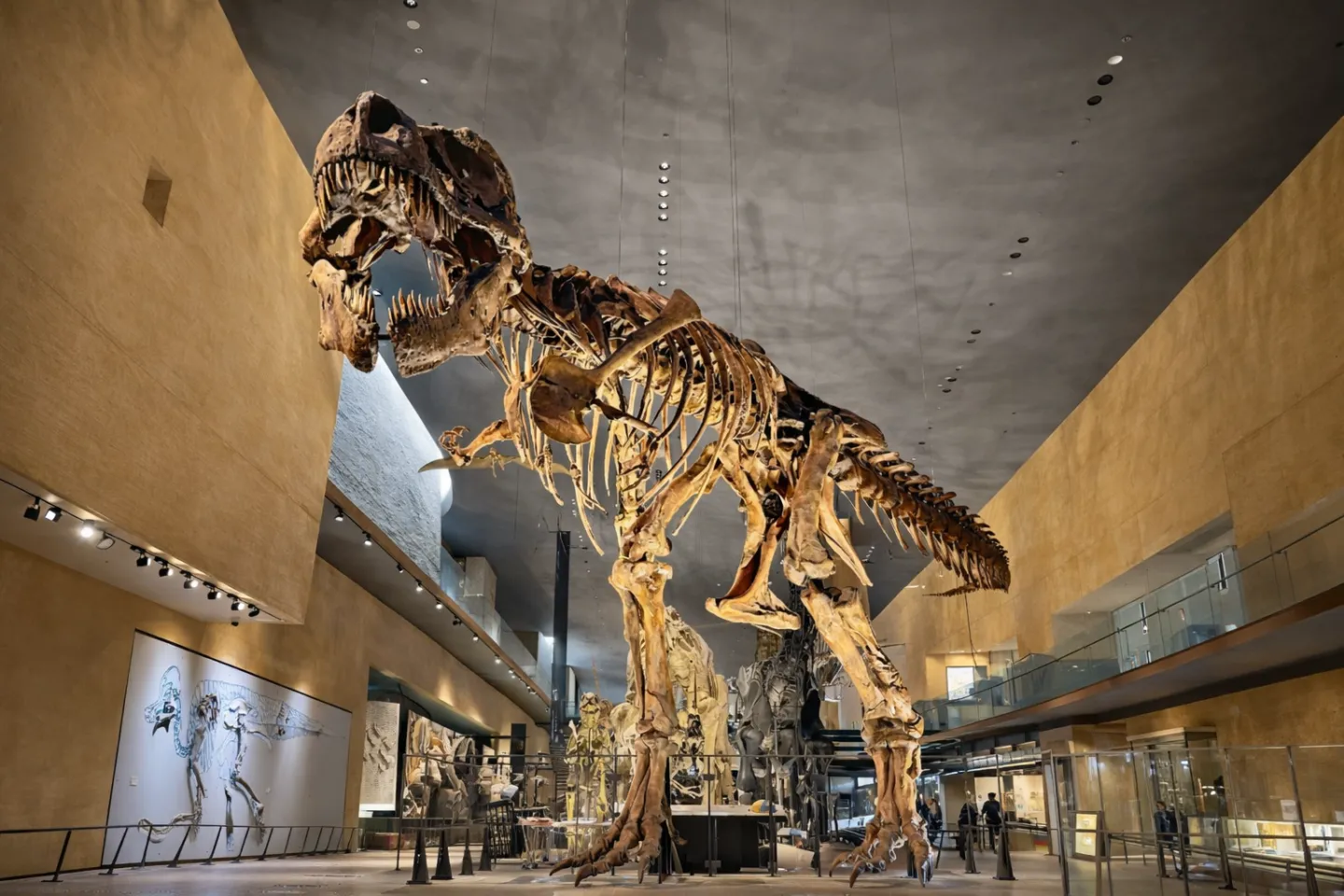 いのちのたび博物館