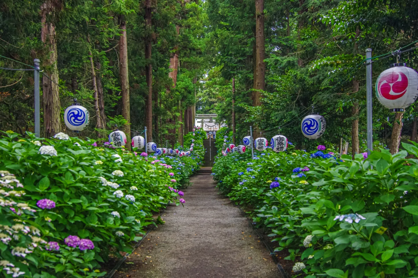 磯山神社