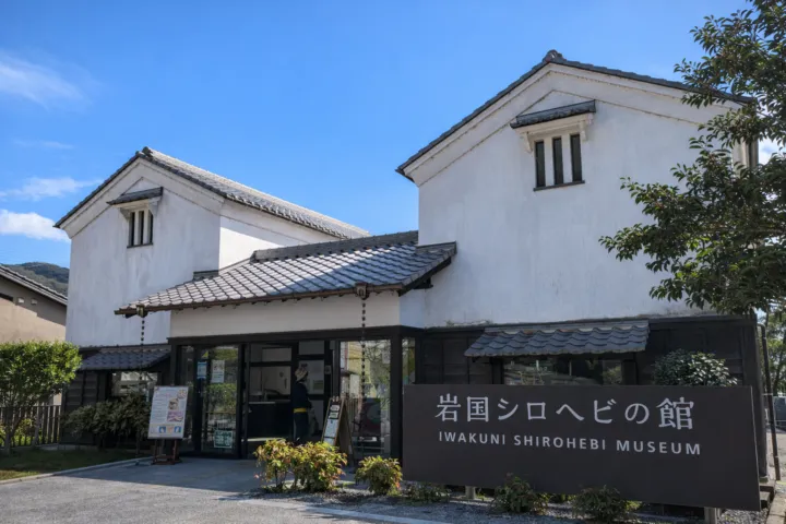 岩国シロヘビの館