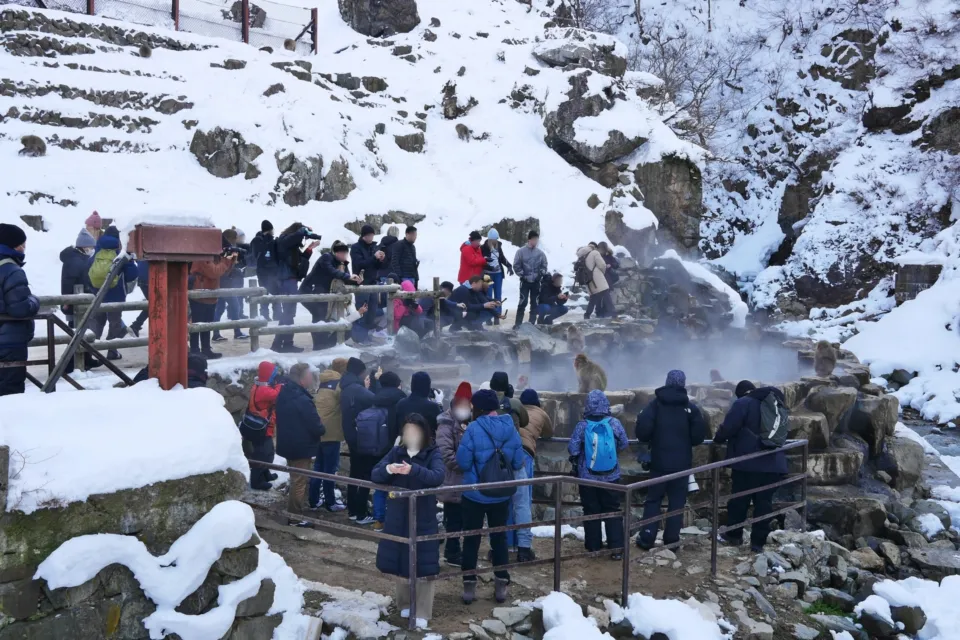 地獄谷野猿公苑