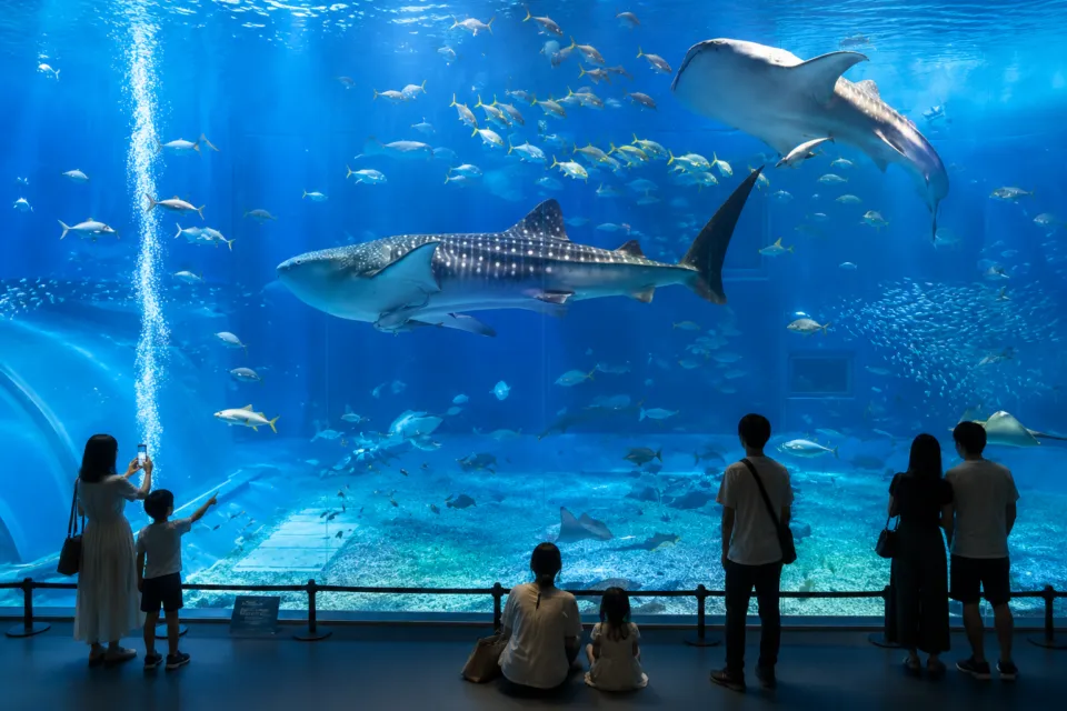 海遊館