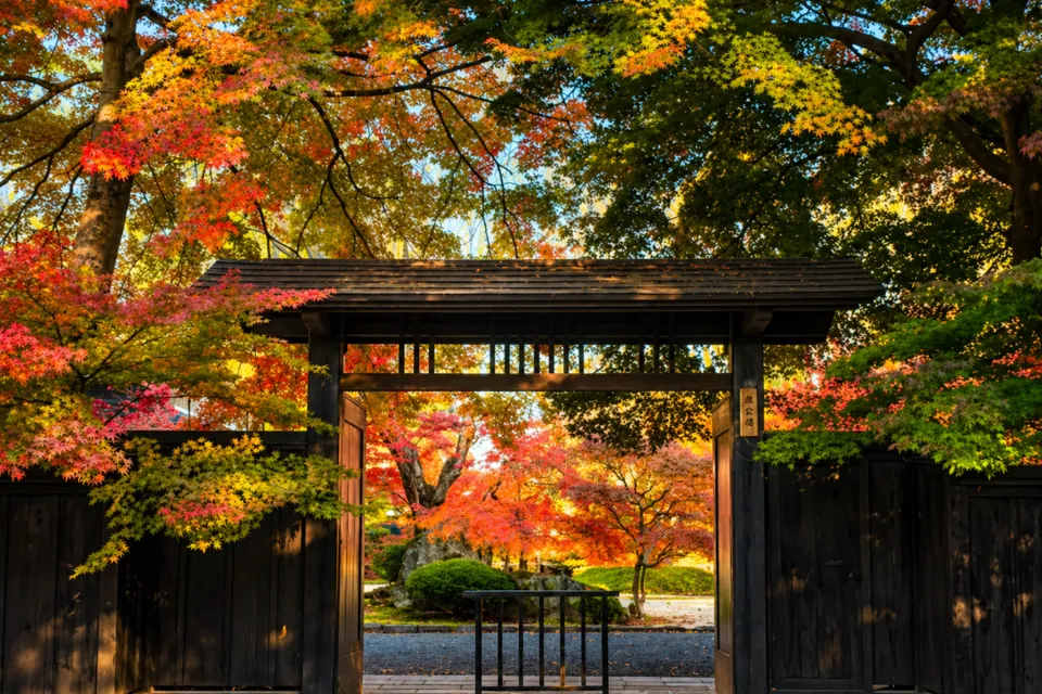 角館武家屋敷通り