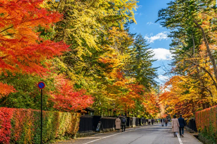 角館武家屋敷通り
