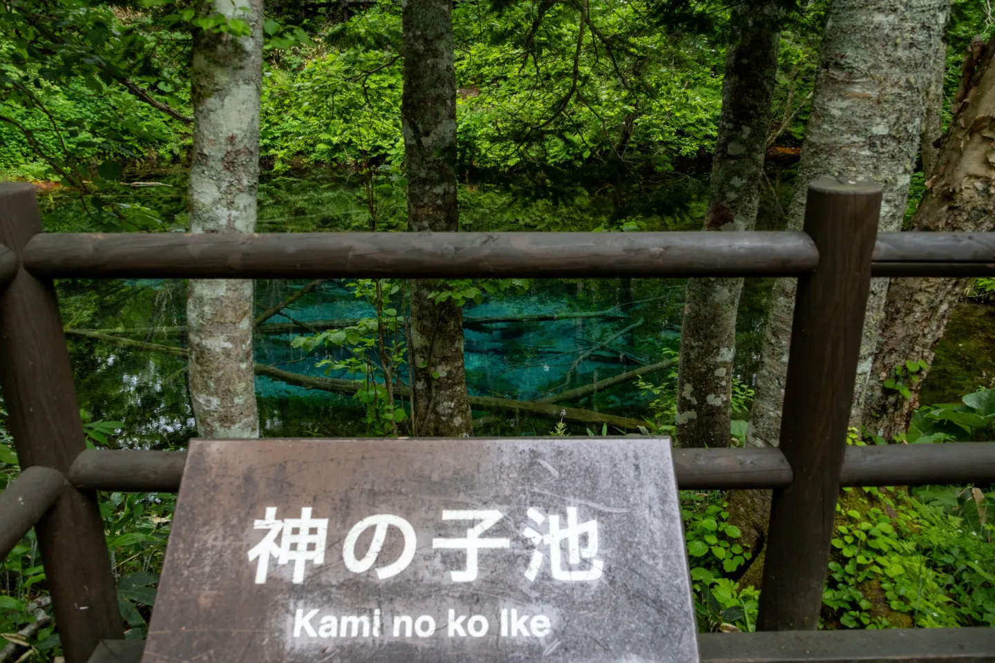 神の子池