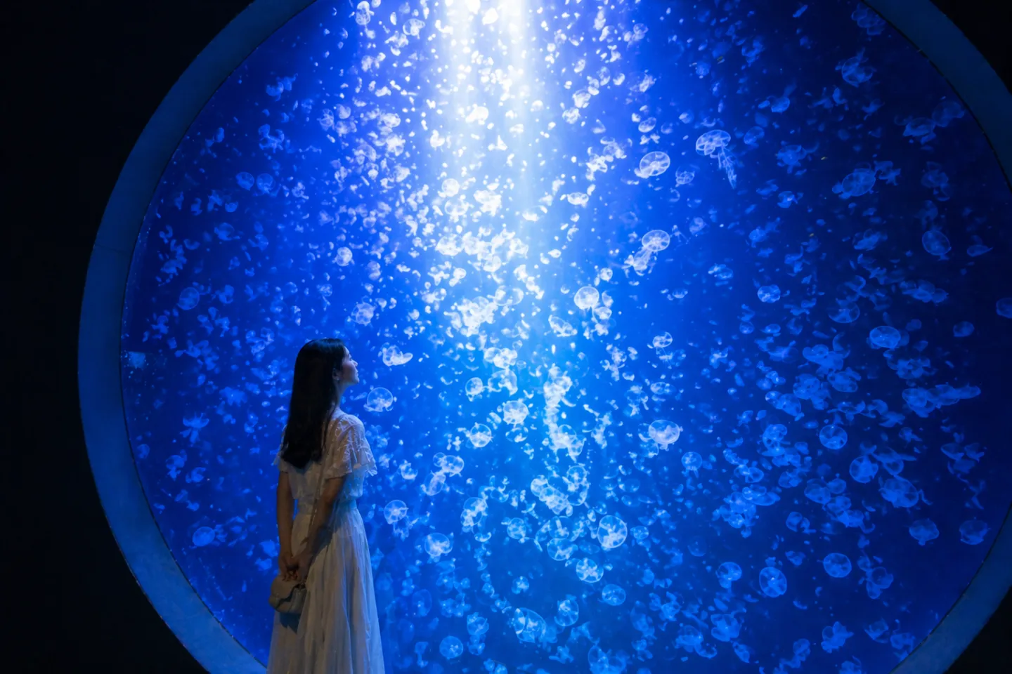 東北エプソンアクアリウムかもすい（鶴岡市立加茂水族館）