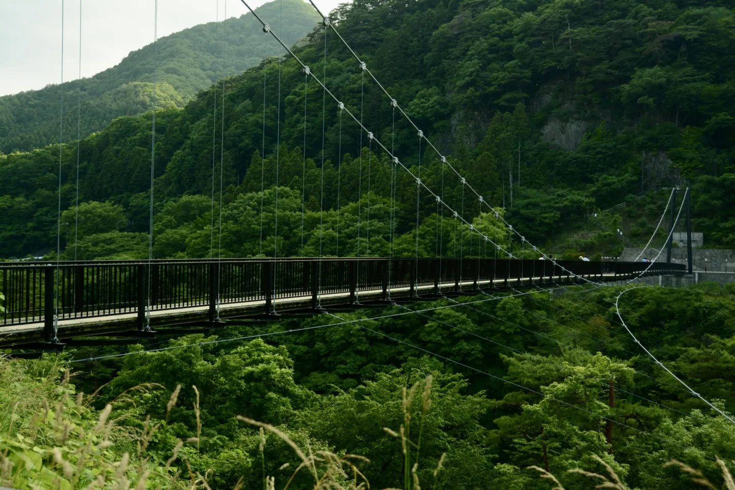 鬼怒楯岩大吊橋