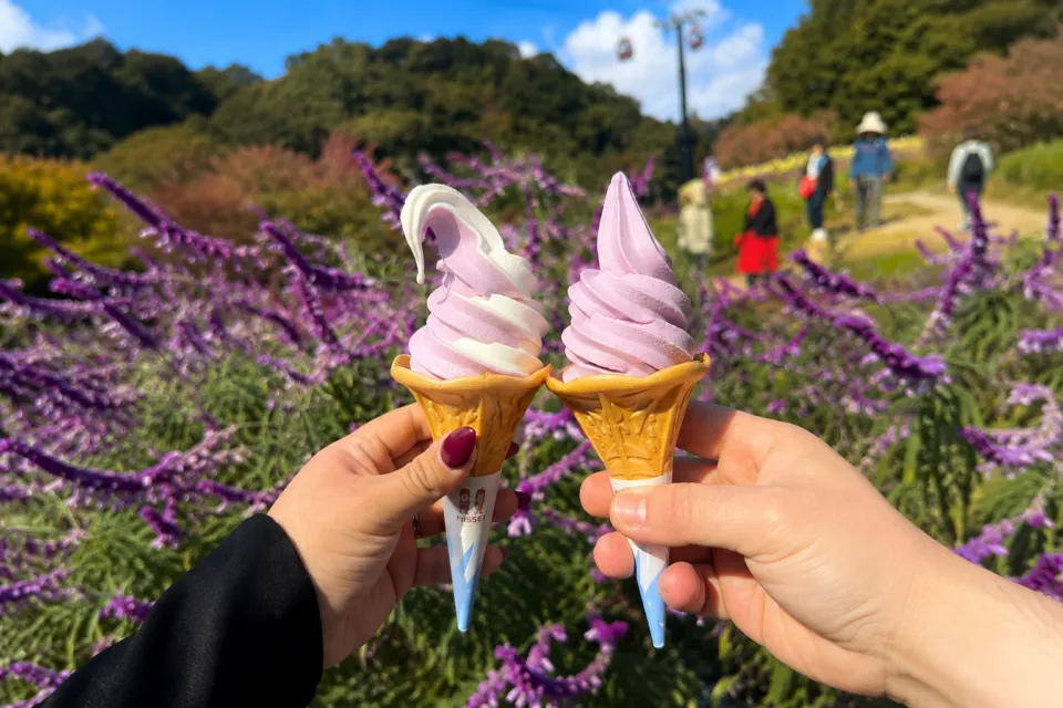 神戸布引ハーブ園