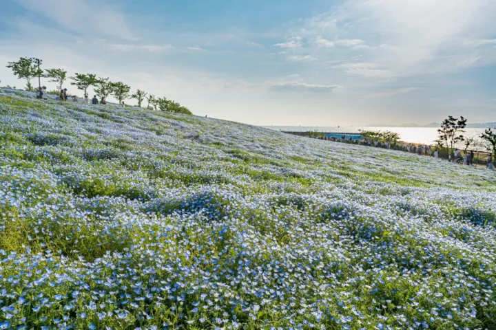 大阪まいしまシーサイドパーク
