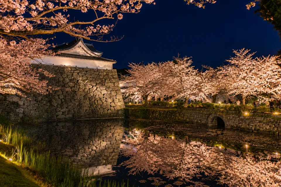 舞鶴公園