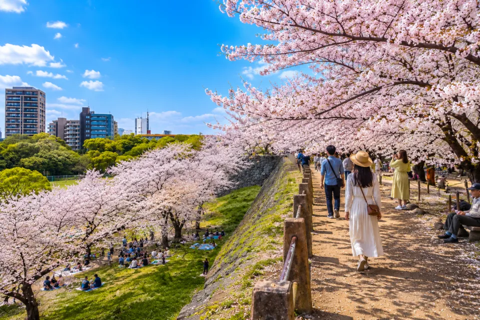 舞鶴公園