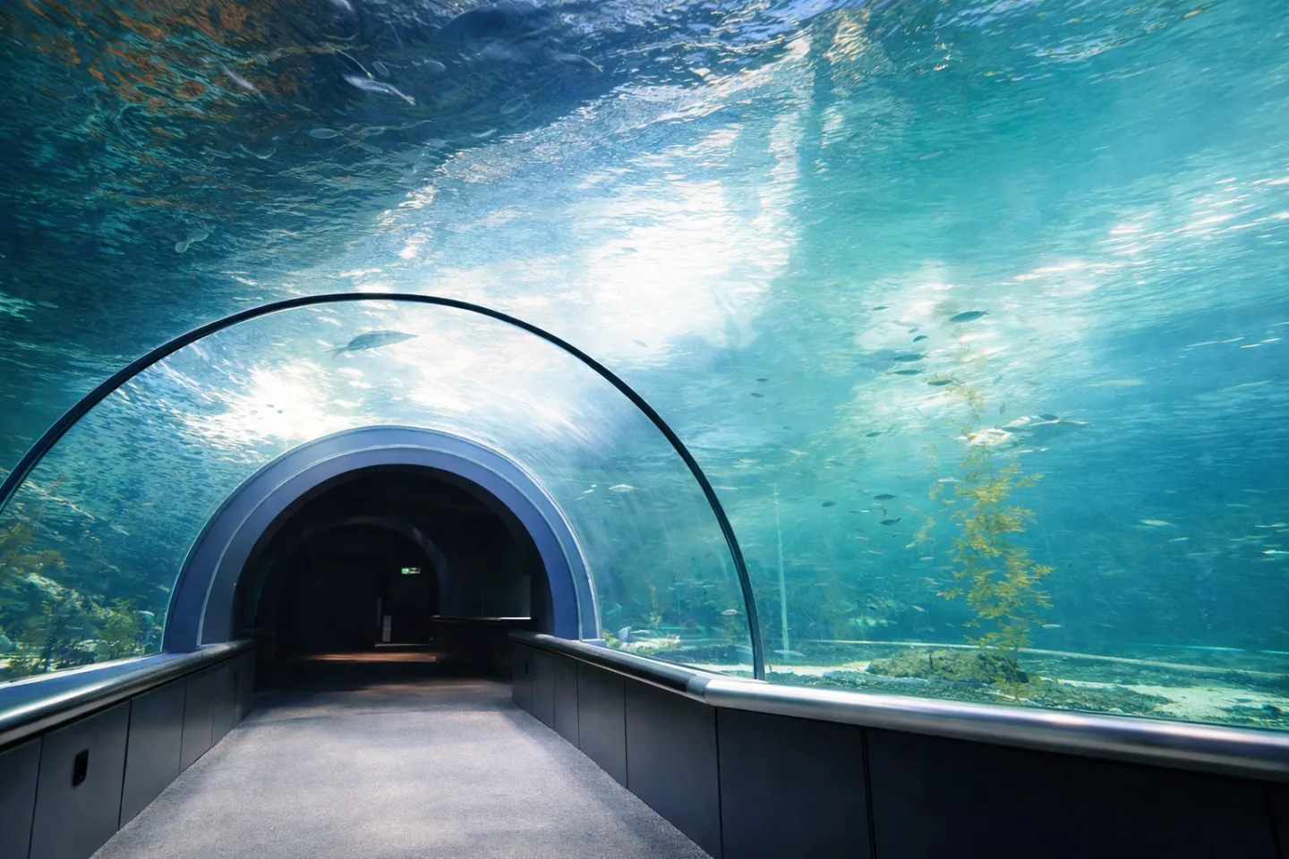 新潟市水族館マリンピア日本海