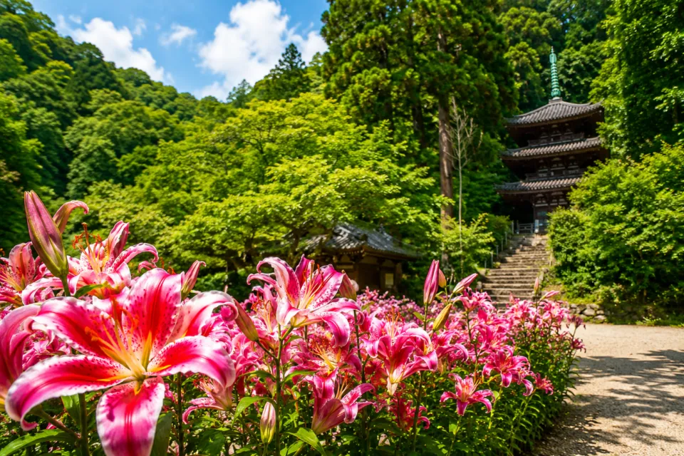 松尾寺（奈良県）