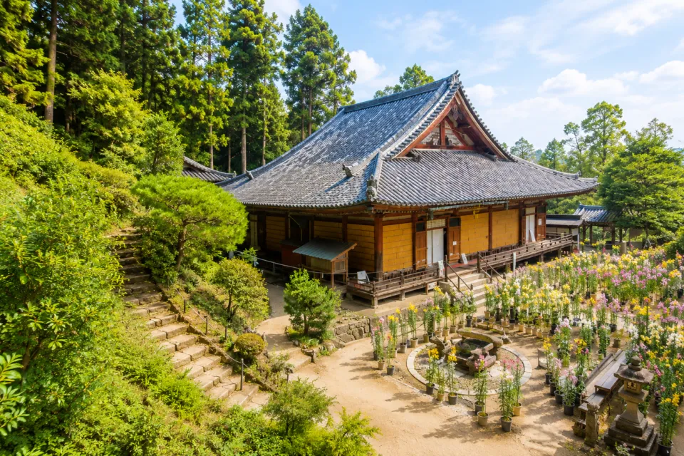 松尾寺（奈良県）