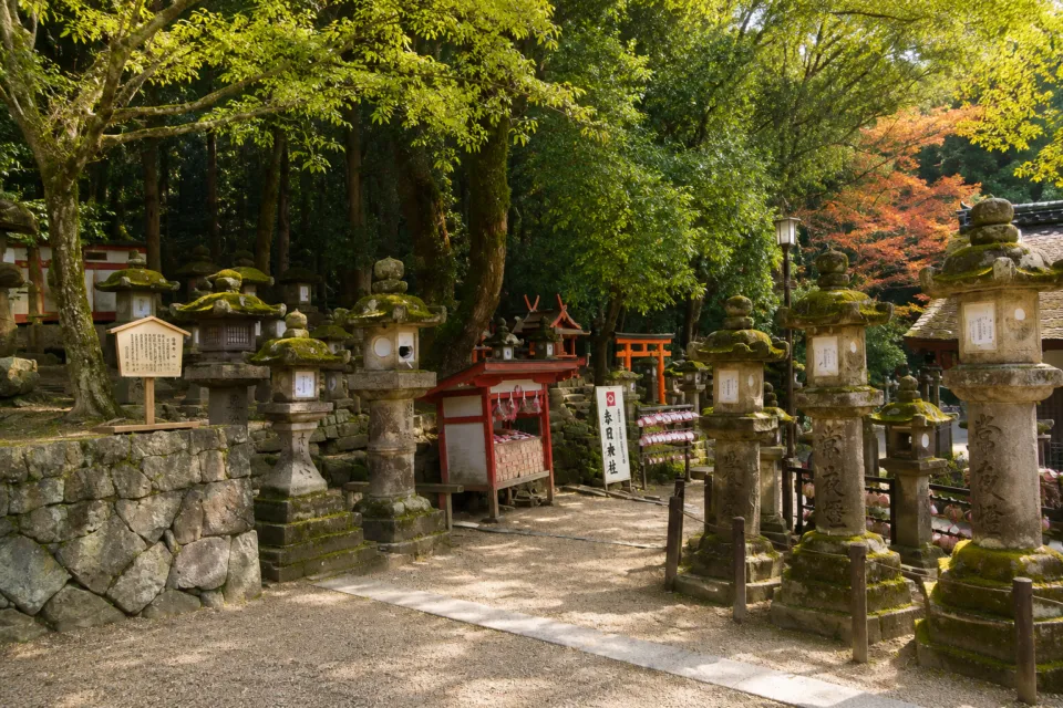 夫婦大国社