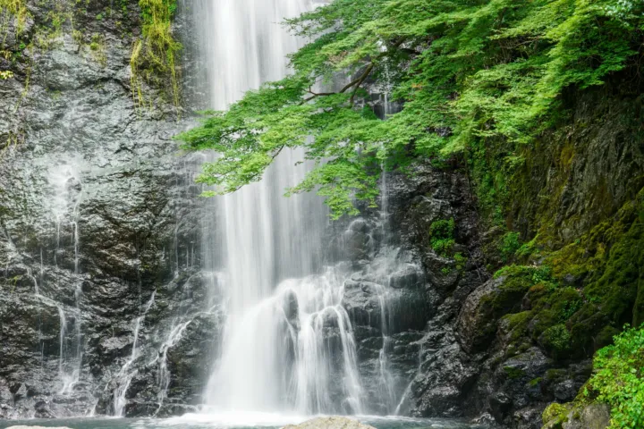 箕面大滝