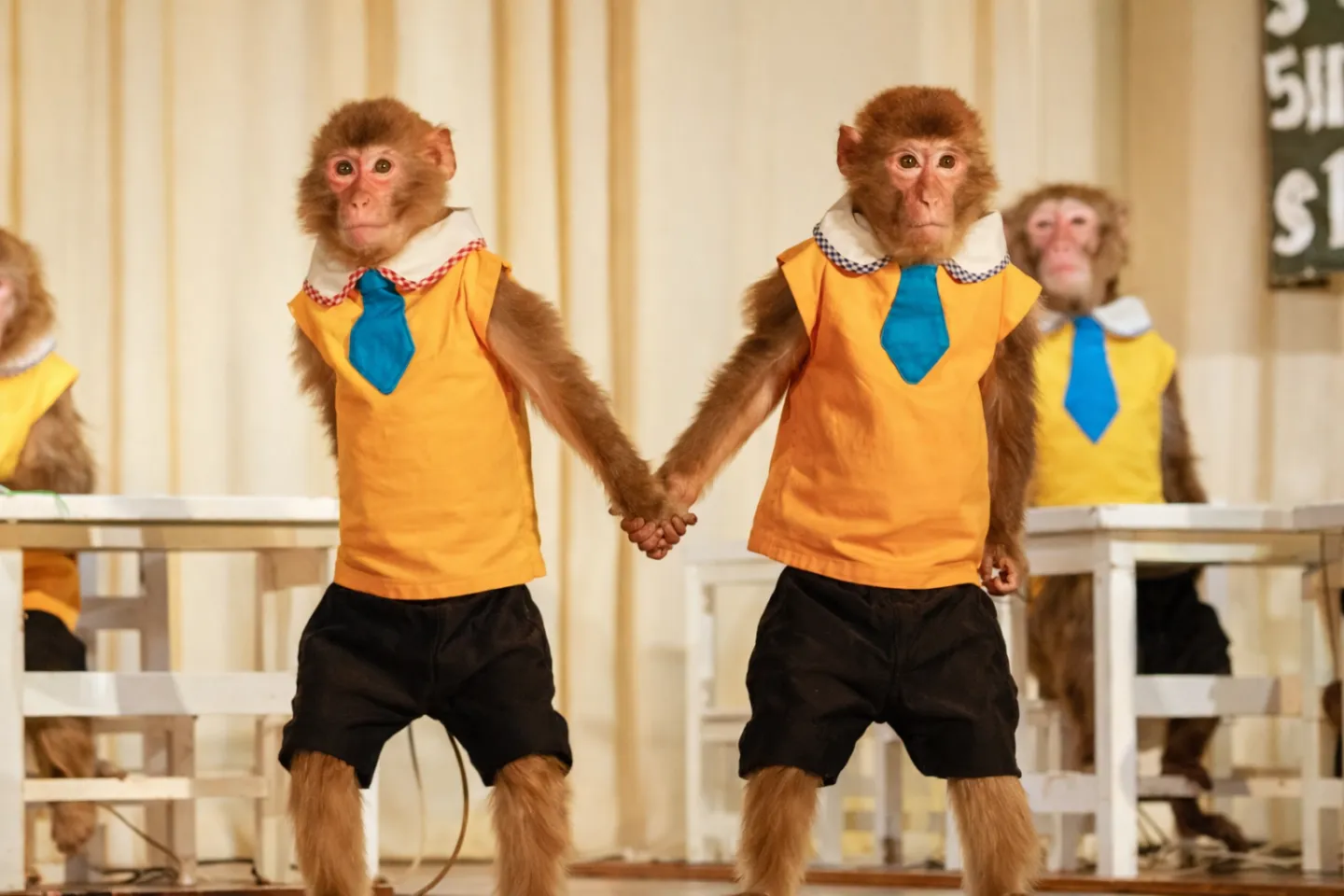 日光おさるランド＆アニタウン