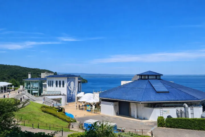 のとじま水族館