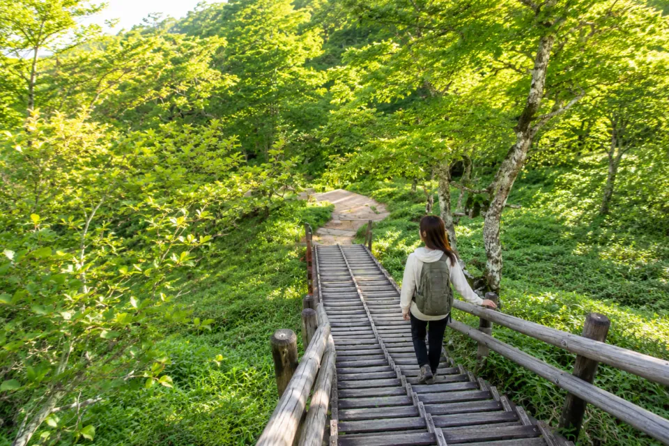 大台ヶ原山