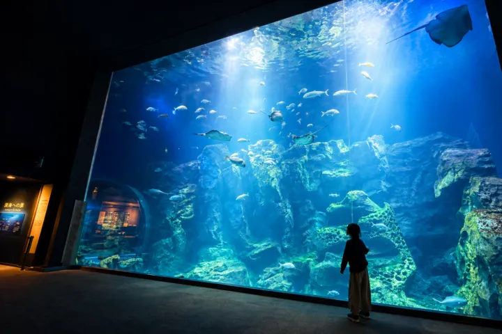 男鹿水族館GAO