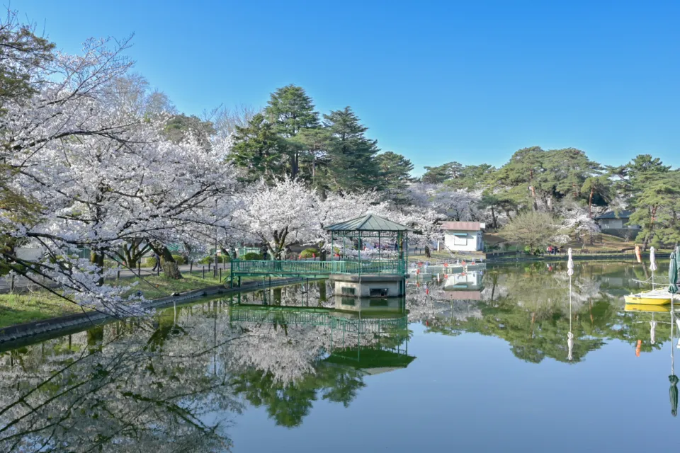 大宮公園