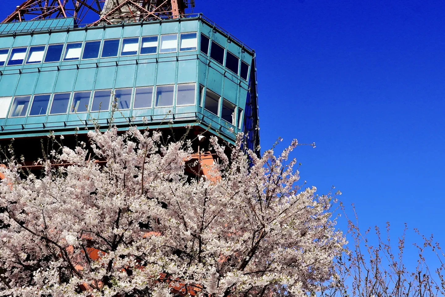 さっぽろテレビ塔