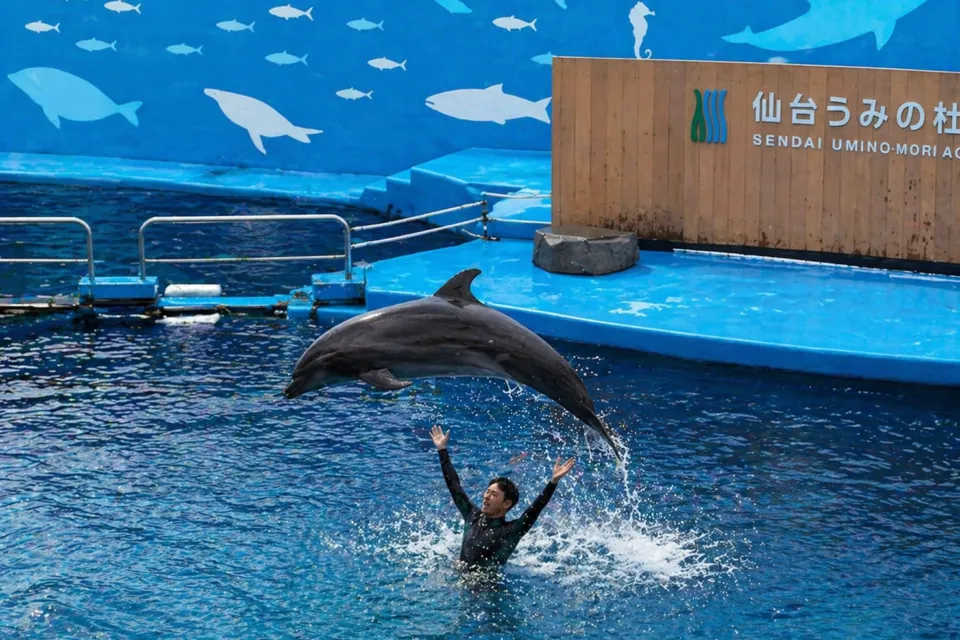 仙台うみの杜水族館