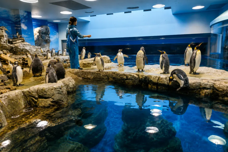 市立しものせき水族館 海響館