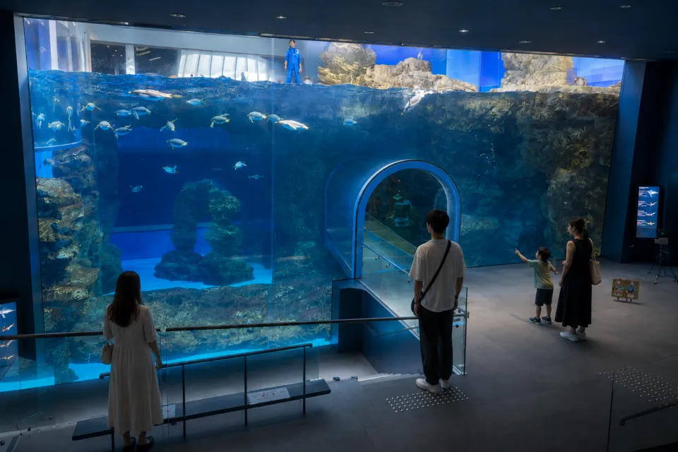 市立しものせき水族館 海響館
