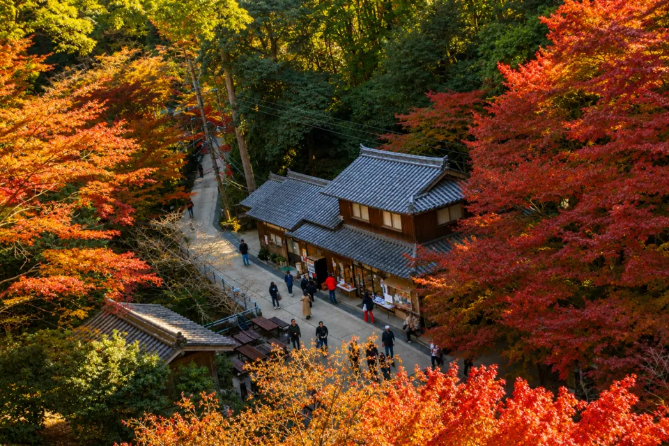 書寫山 圓教寺
