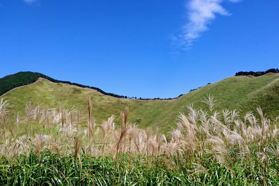 曽爾高原