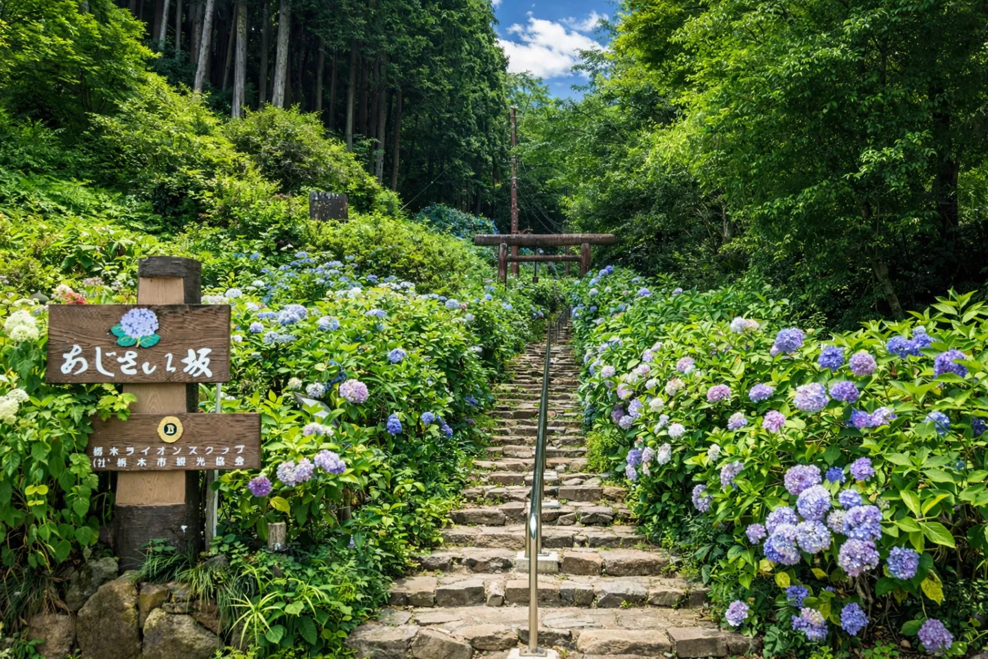 太平山県立自然公園