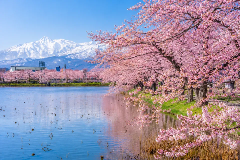 高田城