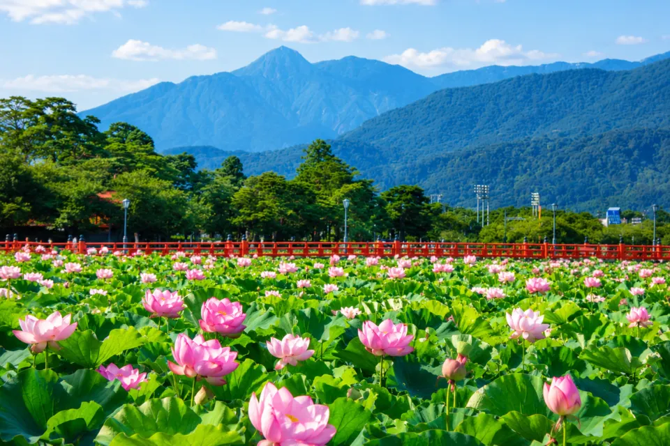 高田城