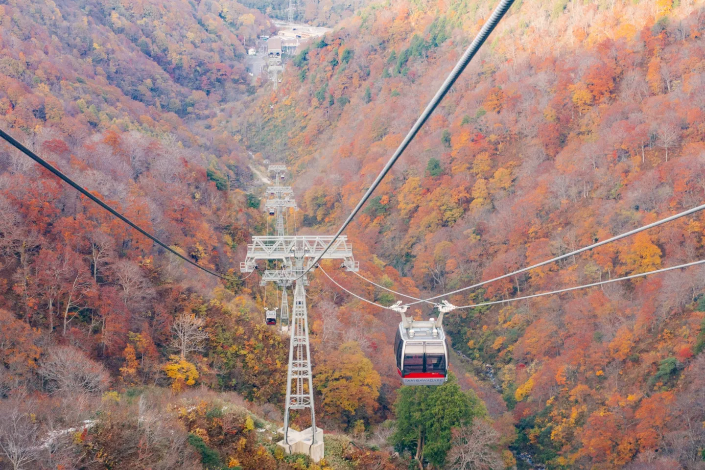 谷川岳ロープウェイ