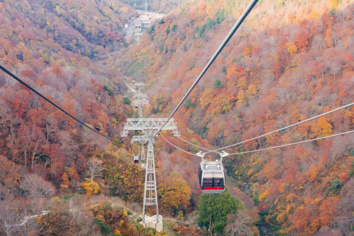 谷川岳ロープウェイ
