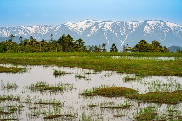 田代湿原