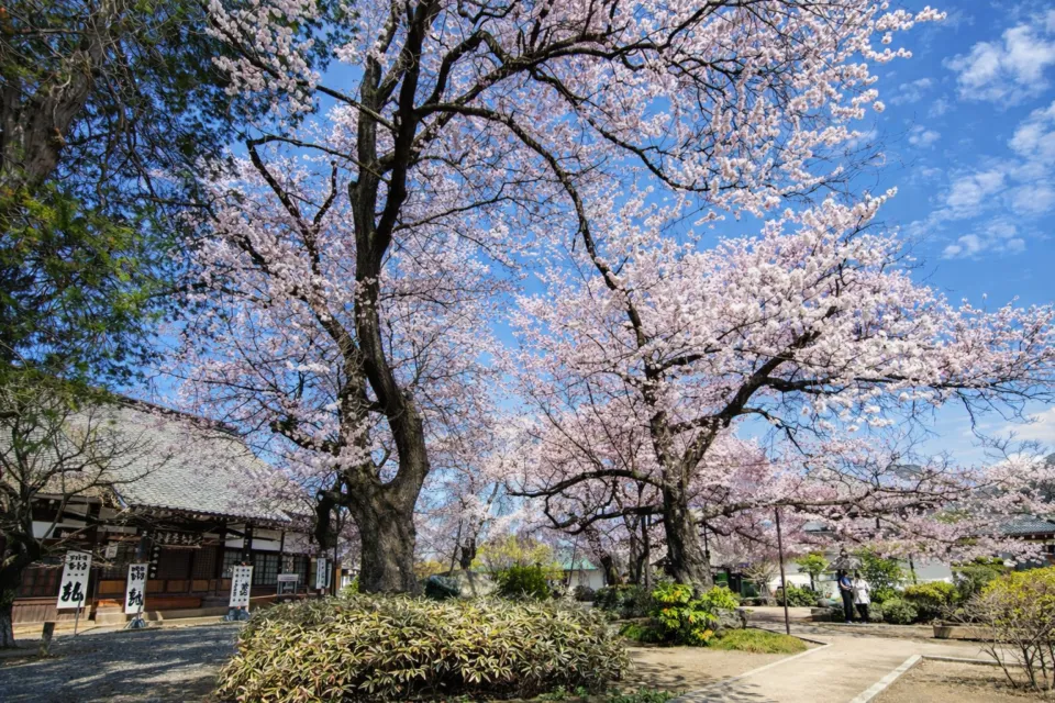 典厩寺
