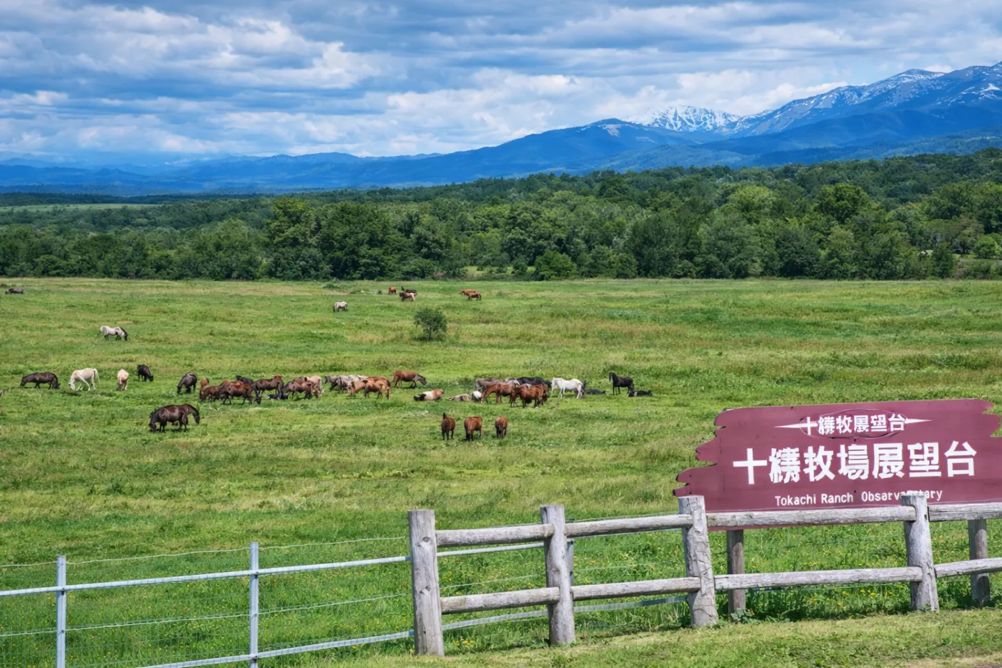 十勝牧場