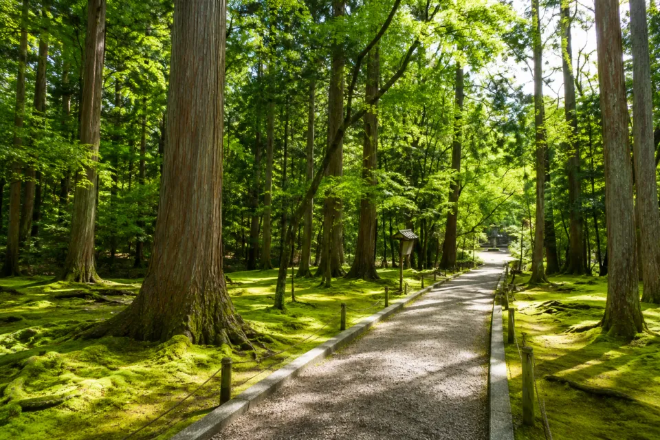 唐招提寺