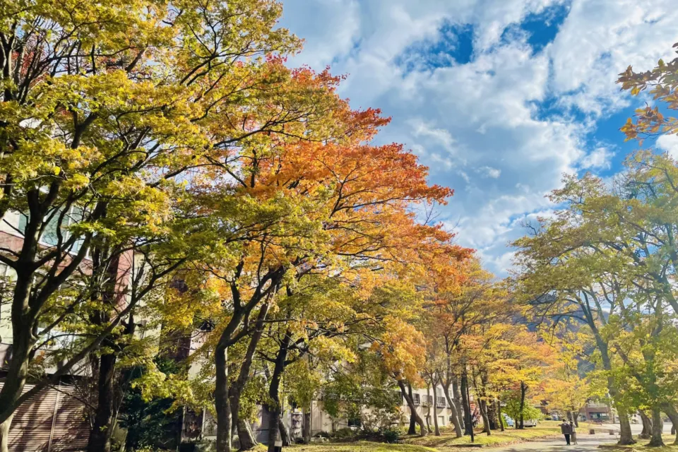 十和田湖