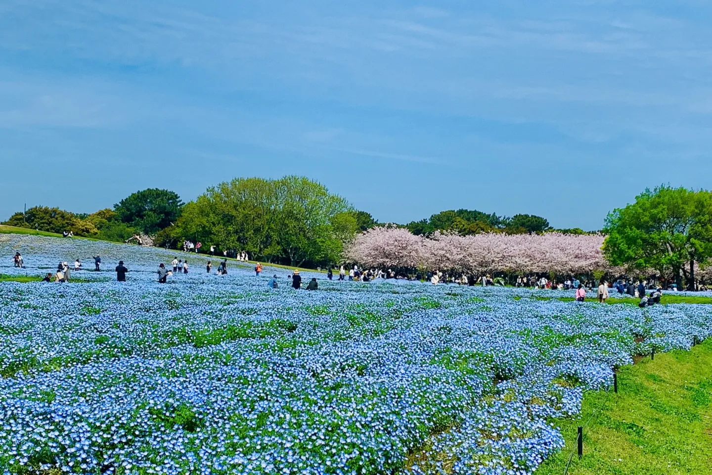 海の中道海浜公園