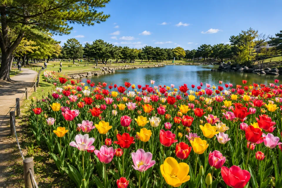 国営海の中道海浜公園