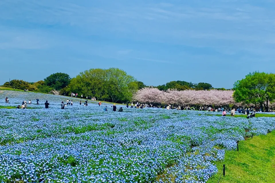 海の中道海浜公園