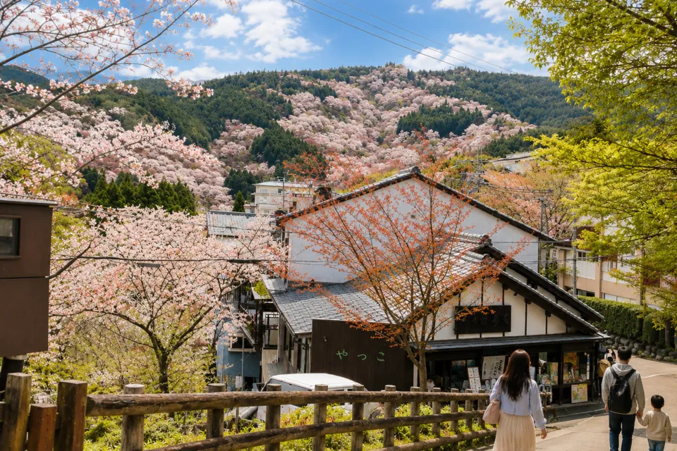 吉野山