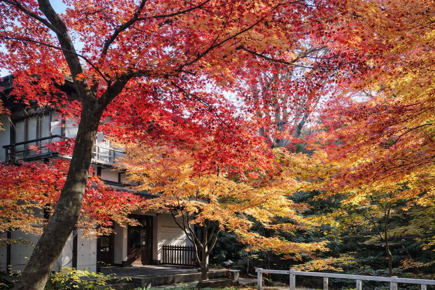 竹久夢二伊香保記念館