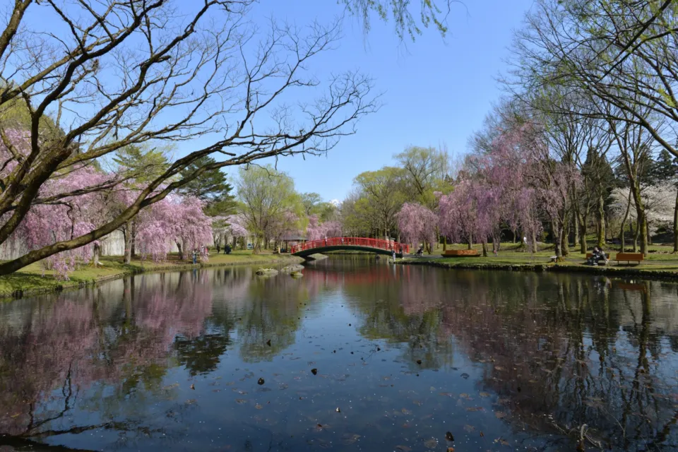 湯沢中央公園