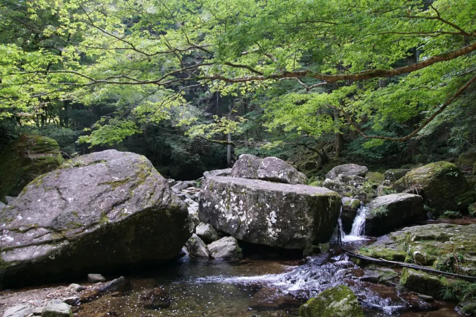 赤目四十八滝